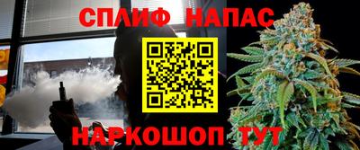 эйфоретик Тара
