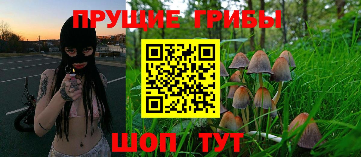 Псилоцибиновые грибы мухоморы  Псилоцибиновые грибы Psilocybine cubensis  Вход с VPN  Алексин 